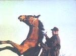"По ту сторону волков" на снимке: его дублер А.Григорьев (КАРО) и лошадь Бриг